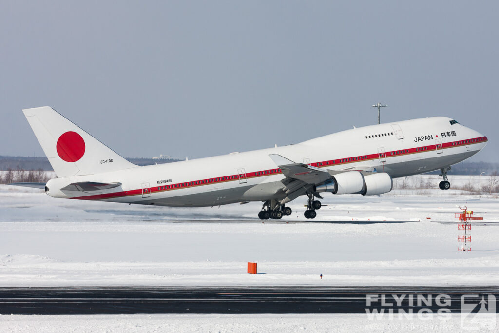 b744   5659 zeitler 1024x683 - Hokkaido Winter Eagles