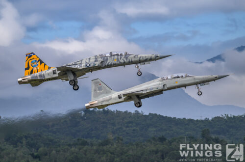 2023, F-5, F-5F, ROCAF, Taitung, Taiwan, Tiger II, special scheme