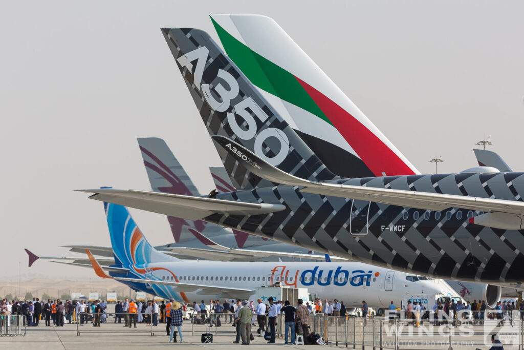 static dubai airshow  1494 zeitler 1024x683 - Dubai Airshow