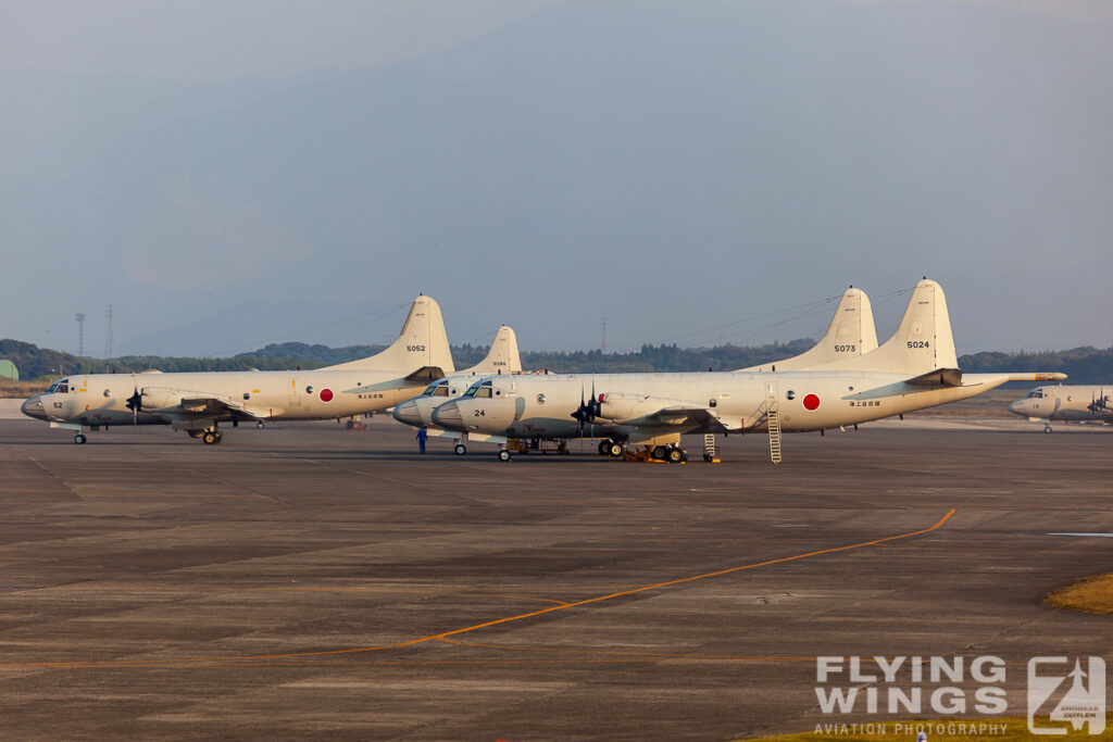 20101111 p 3c   5832 zeitler 1024x683 - Colourful Kyushu - Chasing Aggressors, Orions and much more in Japan