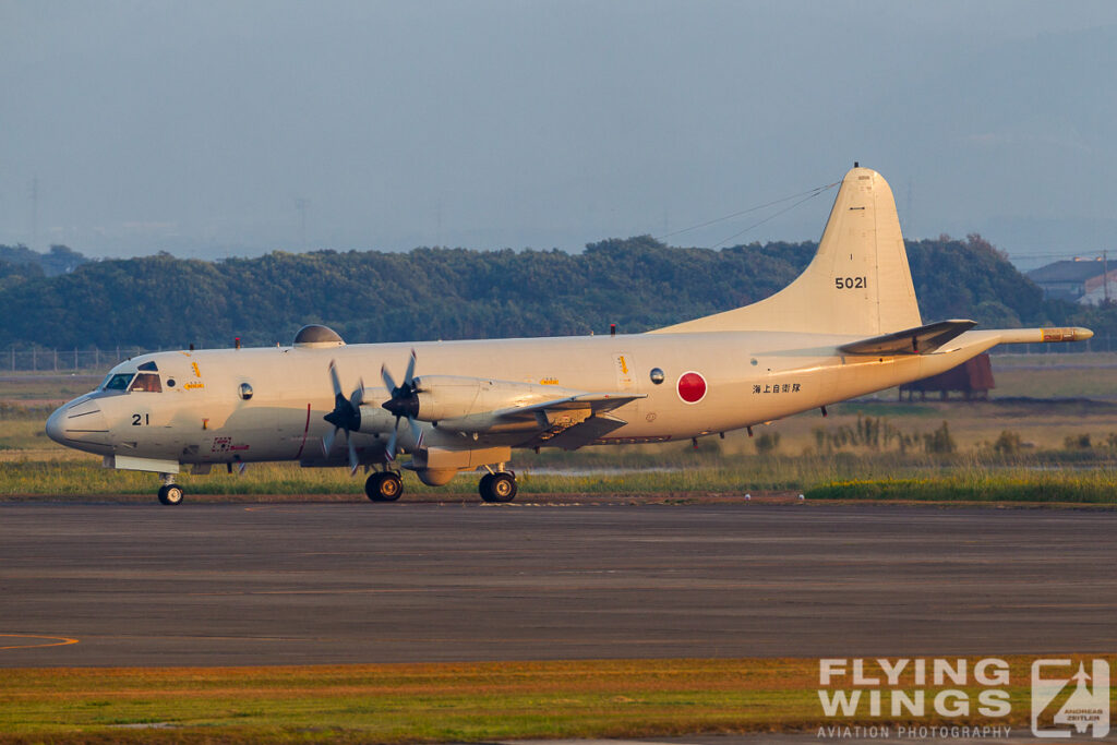 20101111 p 3c   8885 zeitler 1024x683 - Colourful Kyushu - Chasing Aggressors, Orions and much more in Japan