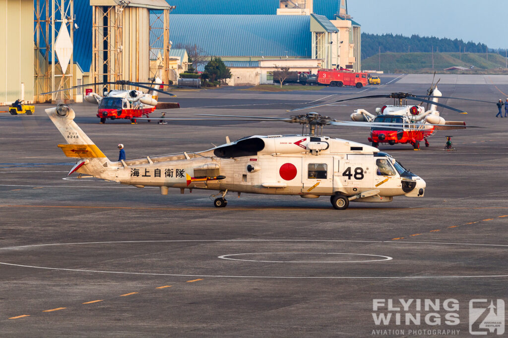 20101111 s 70   8927 zeitler 1024x683 - Colourful Kyushu - Chasing Aggressors, Orions and much more in Japan